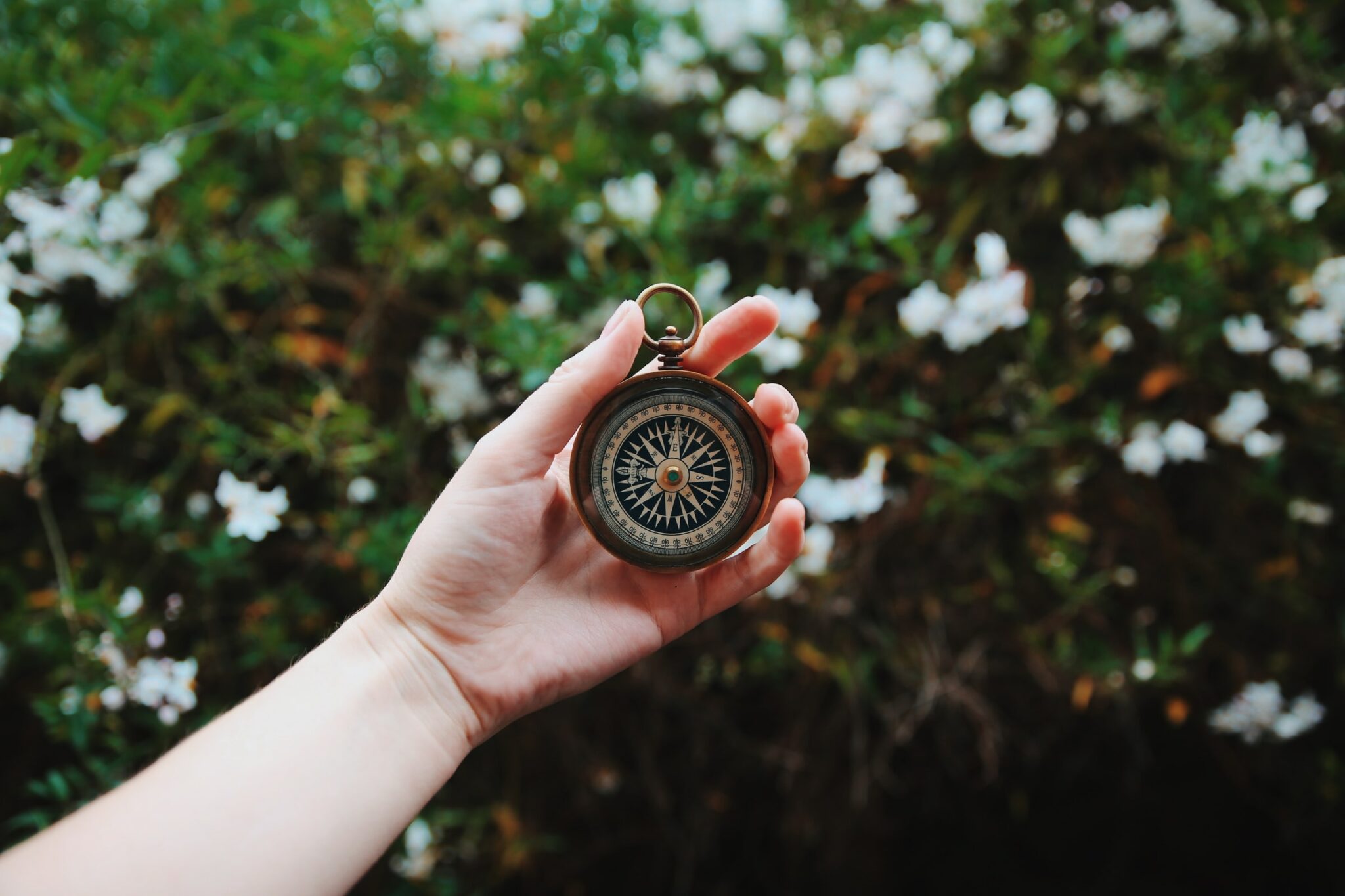 Compass for navigation
